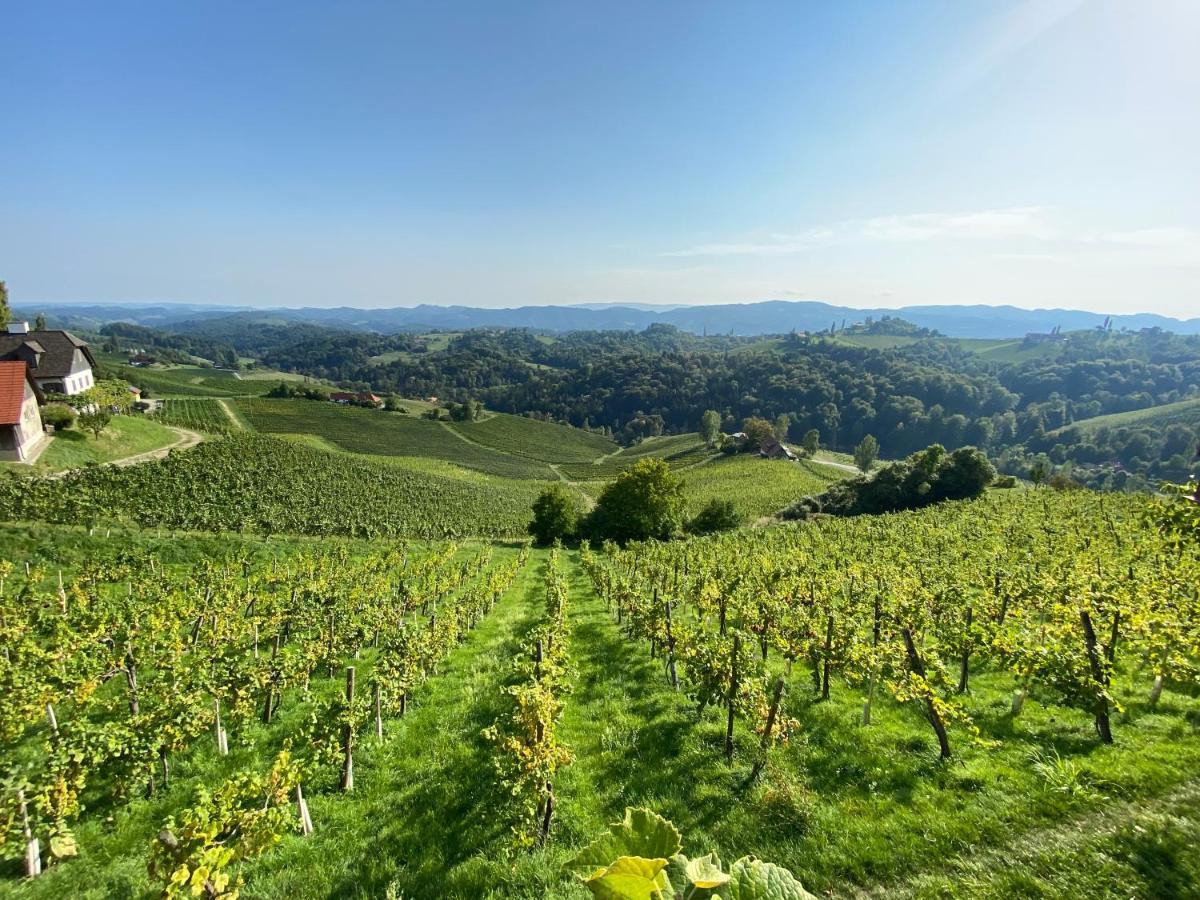 Wein Kultur Apartment Flavia Solva Wagna Luaran gambar